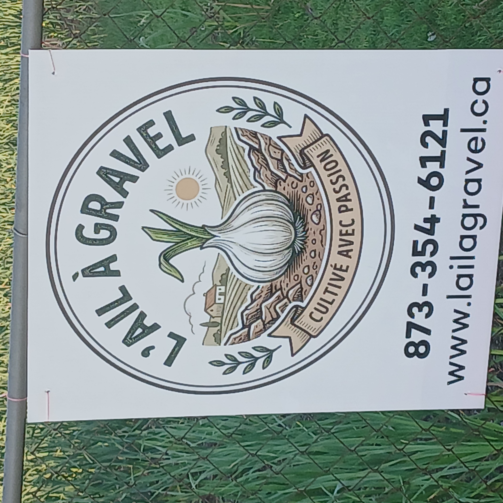 Affichage au champ